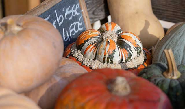 Saisonal - Regional - im Naturkost Neue Wege - Ahnatal Weimar - small